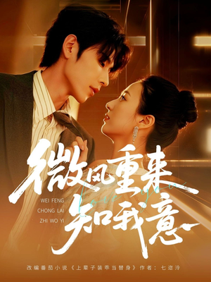 微风重来知我意（62集）全集下载