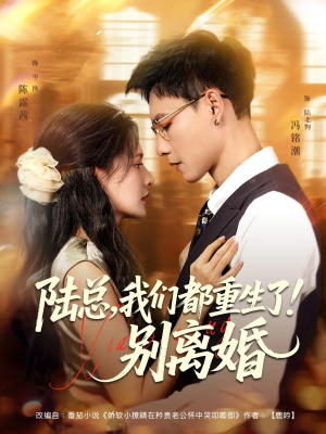 陆总我们都重生了别离婚(79集) 陆总我们都重生了别离婚(79集)番茄免费短剧