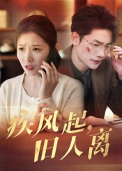 疾风起旧人离（32集）热门短剧推荐