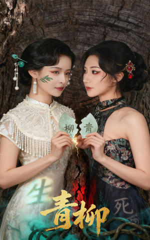 青柳（79集）免费看