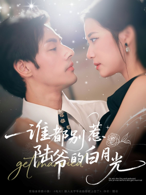 谁都别惹陆爷的白月光（79集）最后一集