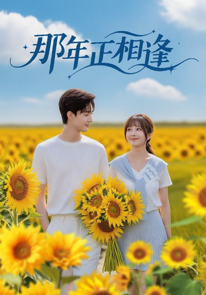 那年正相逢(60集) 那年正相逢(60集)热播短剧追不停