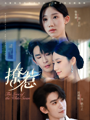 撩惹(80集) 撩惹(80集)演员表