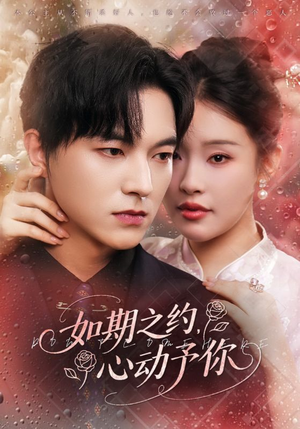 如期之约心动予你（82集）短剧分享片段