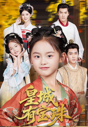 皇城有宝珠（65集）全集完整版