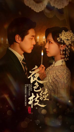 夜色缠枝百度HE版本（62集）精彩短剧看全集