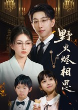 野火烬相思（61集）短剧演员排行榜