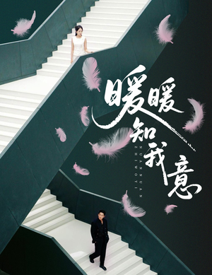 暖暖知我意（61集）免费看全网短剧