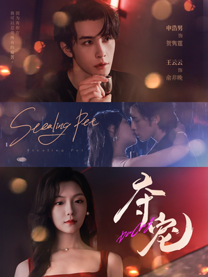 夺宠（88集）短剧热门推荐