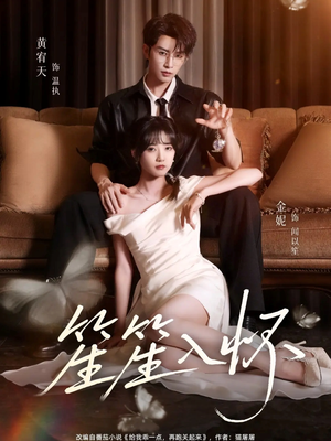 笙笙入怀（108集）爆款热门短剧