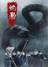 蛇影（25集）完整版