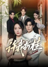 许我折桂（70集）1-102集