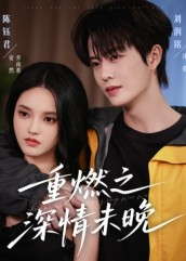 重燃之深情未晚（70集）好看的短剧分享