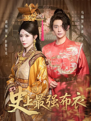 史上最强布衣（90集）经典老剧免费看