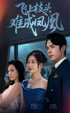 飞上枝头难成凤凰（47集）去哪里看