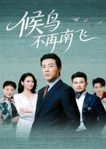 候鸟不再南飞（80集）360网盘观看