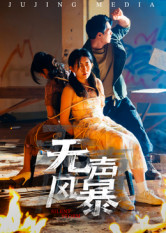 无声风暴（33集）口碑之选免费看