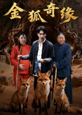 金狐奇缘(42集) 金狐奇缘(42集)短剧在哪里看
