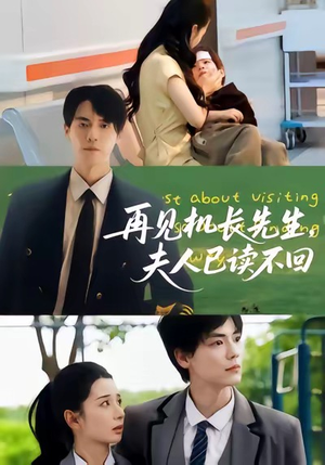 再见机长先生夫人已读不回(62集) 再见机长先生夫人已读不回(62集)不用花钱看全剧