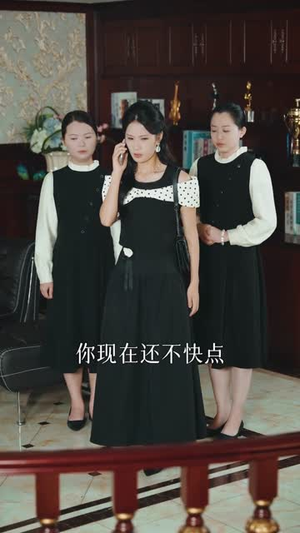 金屋藏凤（30集）番茄免费短剧