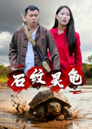 石纹灵龟（30集）全集一网打尽