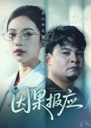 因果报应（30集）在哪个平台能看