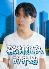 强制组队的开始（16集）解说