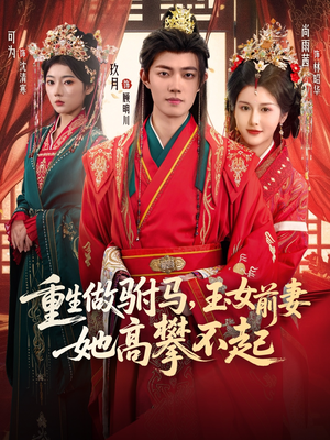 重生做驸马，玉女前妻她高攀不起（79集）短剧精彩绝伦