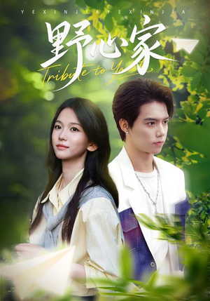 野心家（65集）精彩短剧追不停