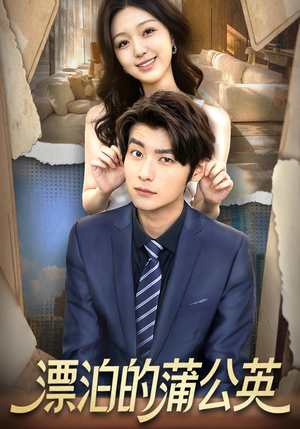 漂泊的蒲公英（60集）小短剧推荐