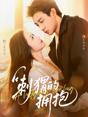 刺猬的拥抱（71集）热门短剧大全