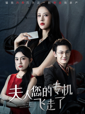 夫人您的专机飞走了（62集）免费在线看
