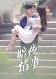 暗夜情事（100集）短剧热播推荐