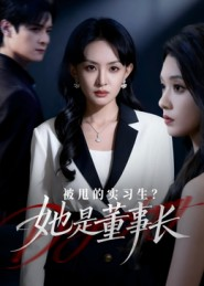 被甩的实习生？她是董事长！（59集）短剧全集免费看