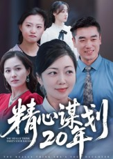 精心谋划20年（33集）短剧演员排行榜