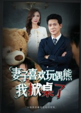 妻子玩偶里的秘密（61集）免费看全集