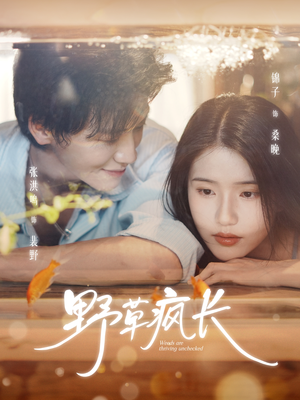 野草疯长(71集) 野草疯长(71集)在线看免费版