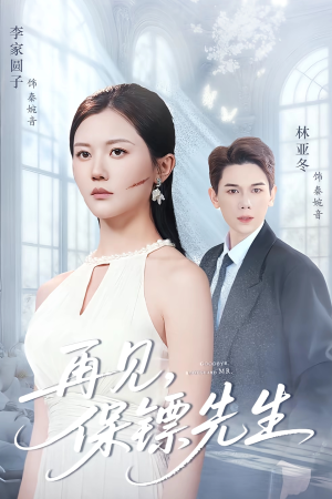 再见保镖先生（51集）评价怎么样