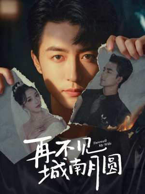 再不见城南月圆（60集）1-102集