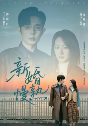 新婚慢熟（105集）好看的短剧