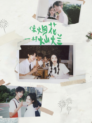 像烟花一样灿烂(60集) 像烟花一样灿烂(60集)热播短剧排行榜