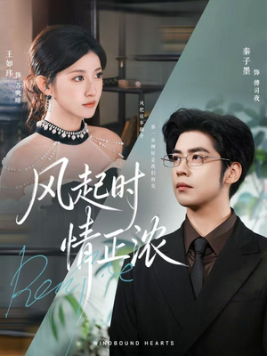 风起时情正浓（79集）最新热剧免费看