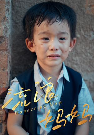 流浪妈妈(30集) 流浪妈妈(30集)好看吗