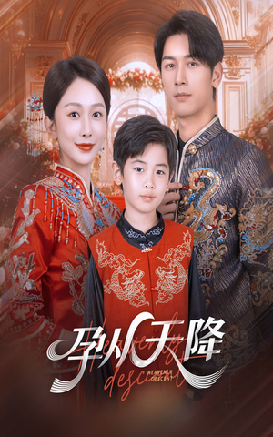 孕从天降（70集）全集一次看完