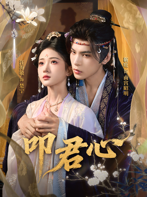 叩君心（64集）短剧视频分享