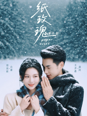 纸玫瑰第二部（80集）去哪里看