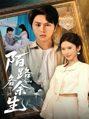 陌路各余生（65集）短剧追到爽
