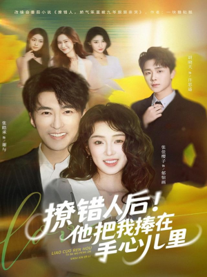 撩错人后！他把我捧在手心儿里（81集）一共多少集