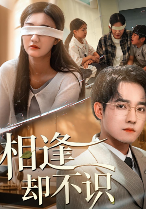 相逢却不识（77集）短剧小说在线看