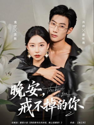 晚安，戒不掉的你（68集）一起追短剧吧